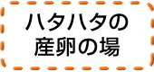 ハタハタの産卵の場