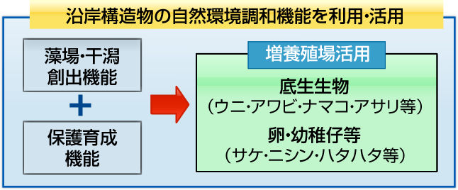 増養殖に資する港湾・漁港のイメージ