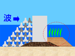 防波堤への藻場機能の付加・機能保全