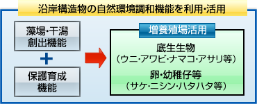 増養殖に資する港湾・漁港のイメージ